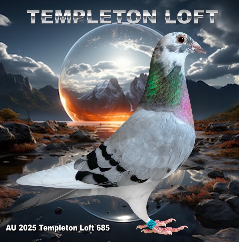 TEMPLETON LOFT 2025/685