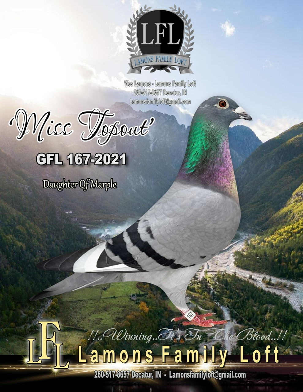 GFL 167-2021 “Hen”