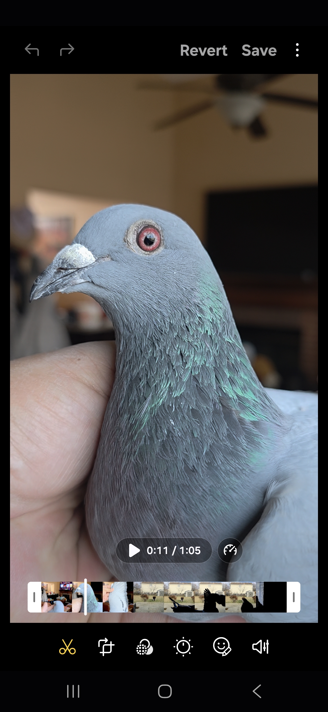    AMC LOFT 7966-AU25-VK  