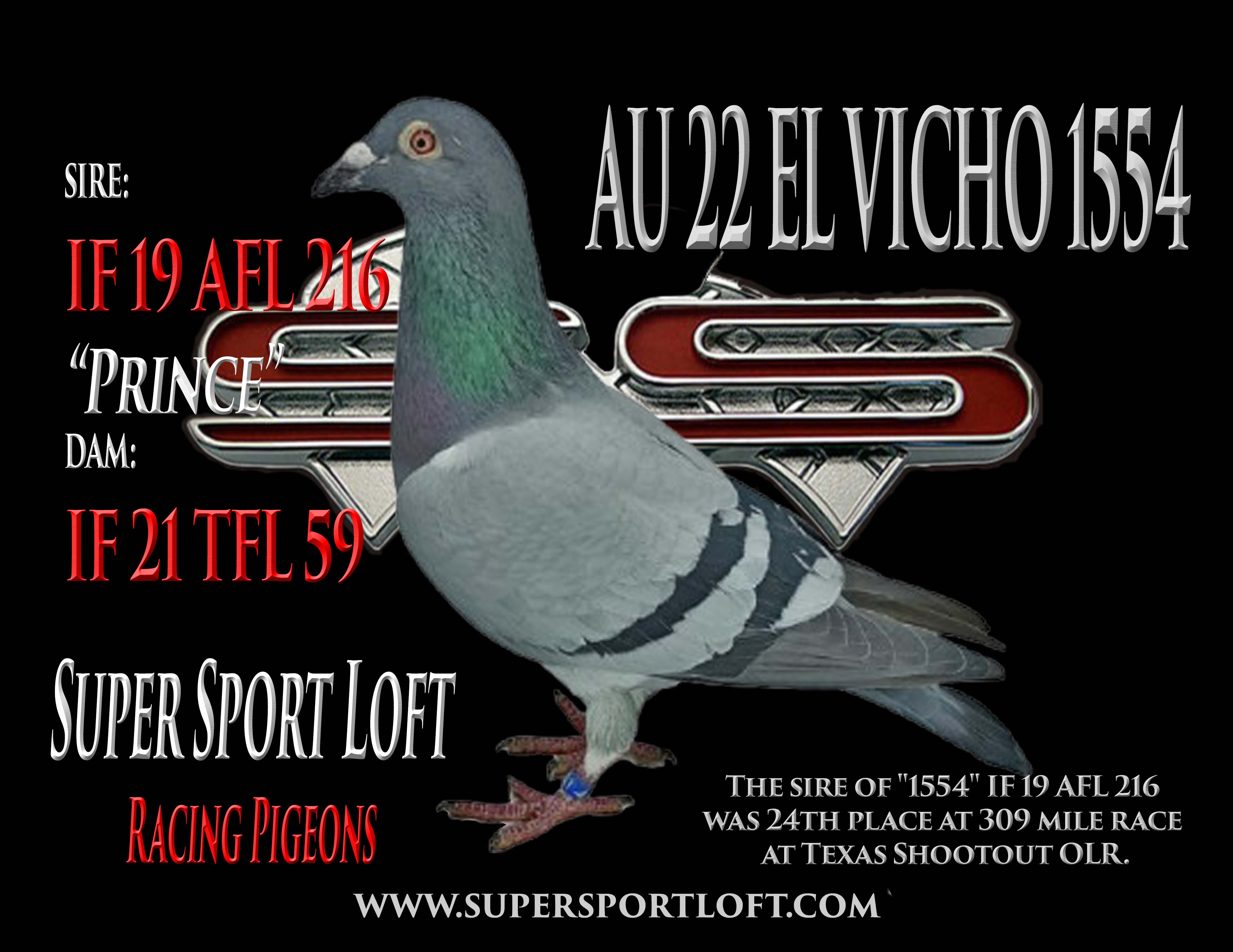 AU 22 EL VICHO 1554 INBRED ORNAT COCK
