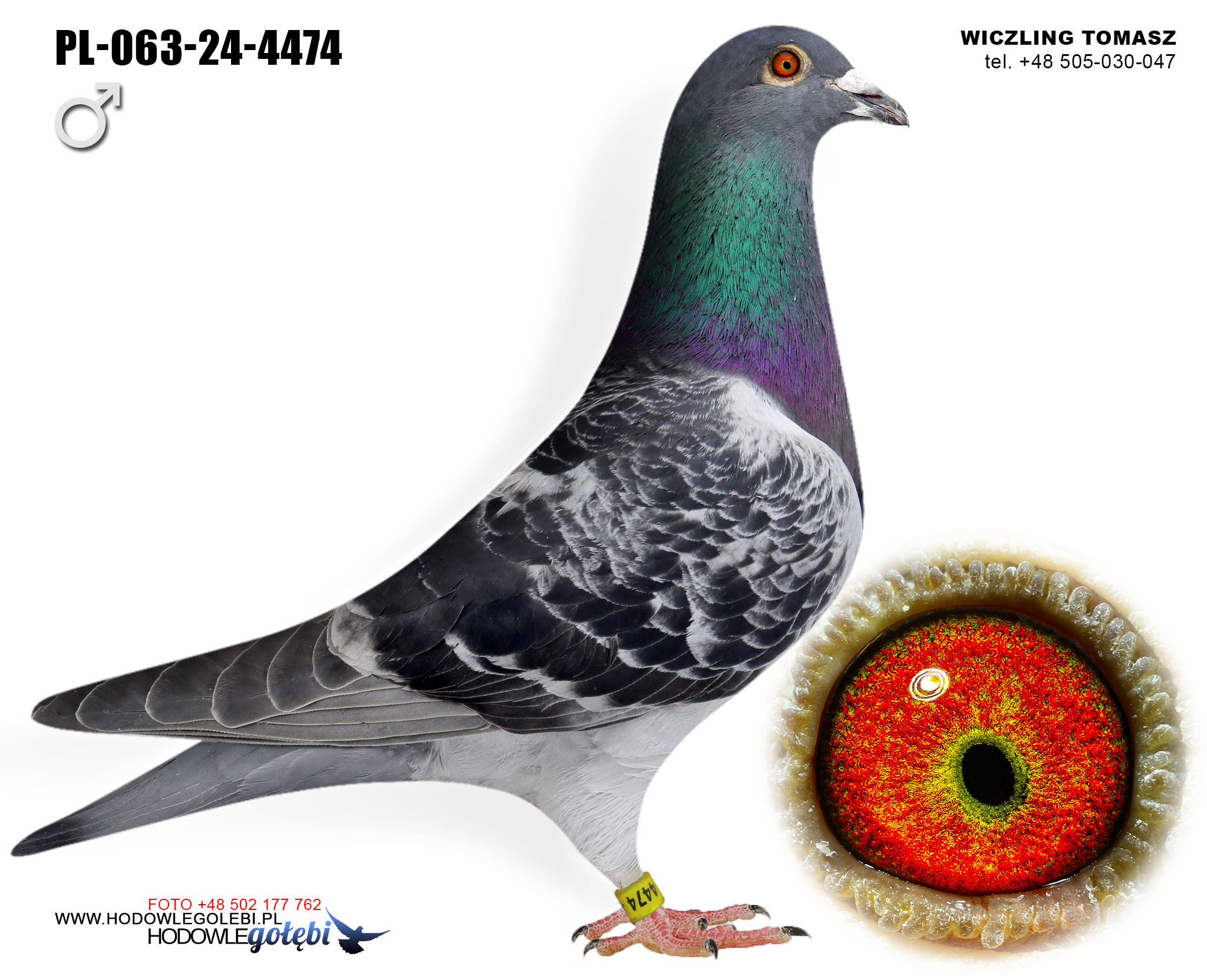 PL-063-24-4474 C