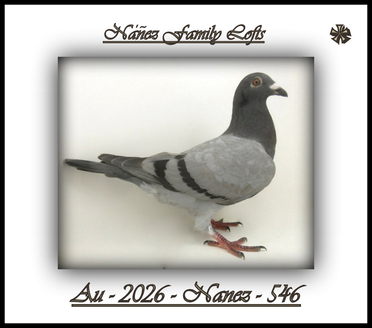 AU 2026 NANEZ 546
