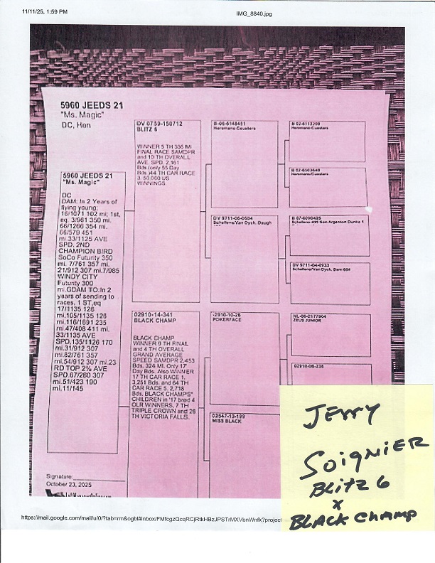 Preview Image 14