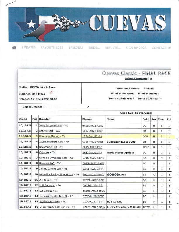 Preview Image 13