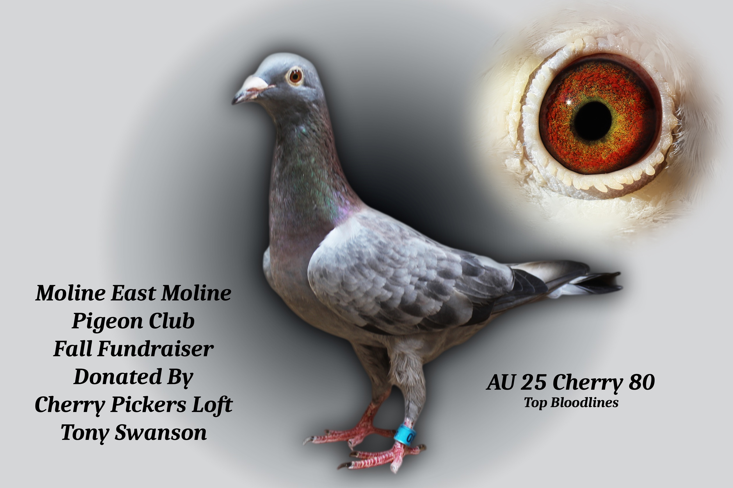 AU 25 Cherry 80 Hen