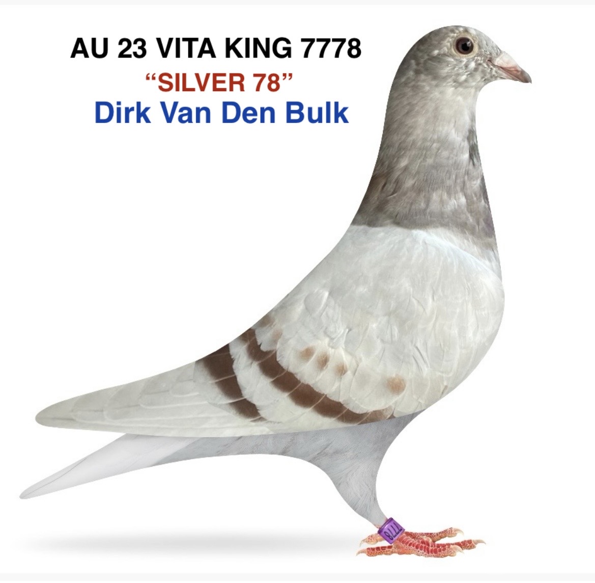 DIRK VAN DEN BULK