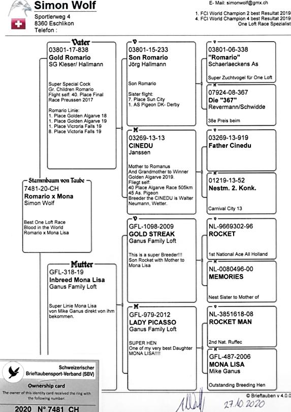 Preview Image 3