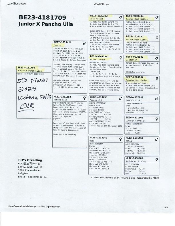Preview Image 10