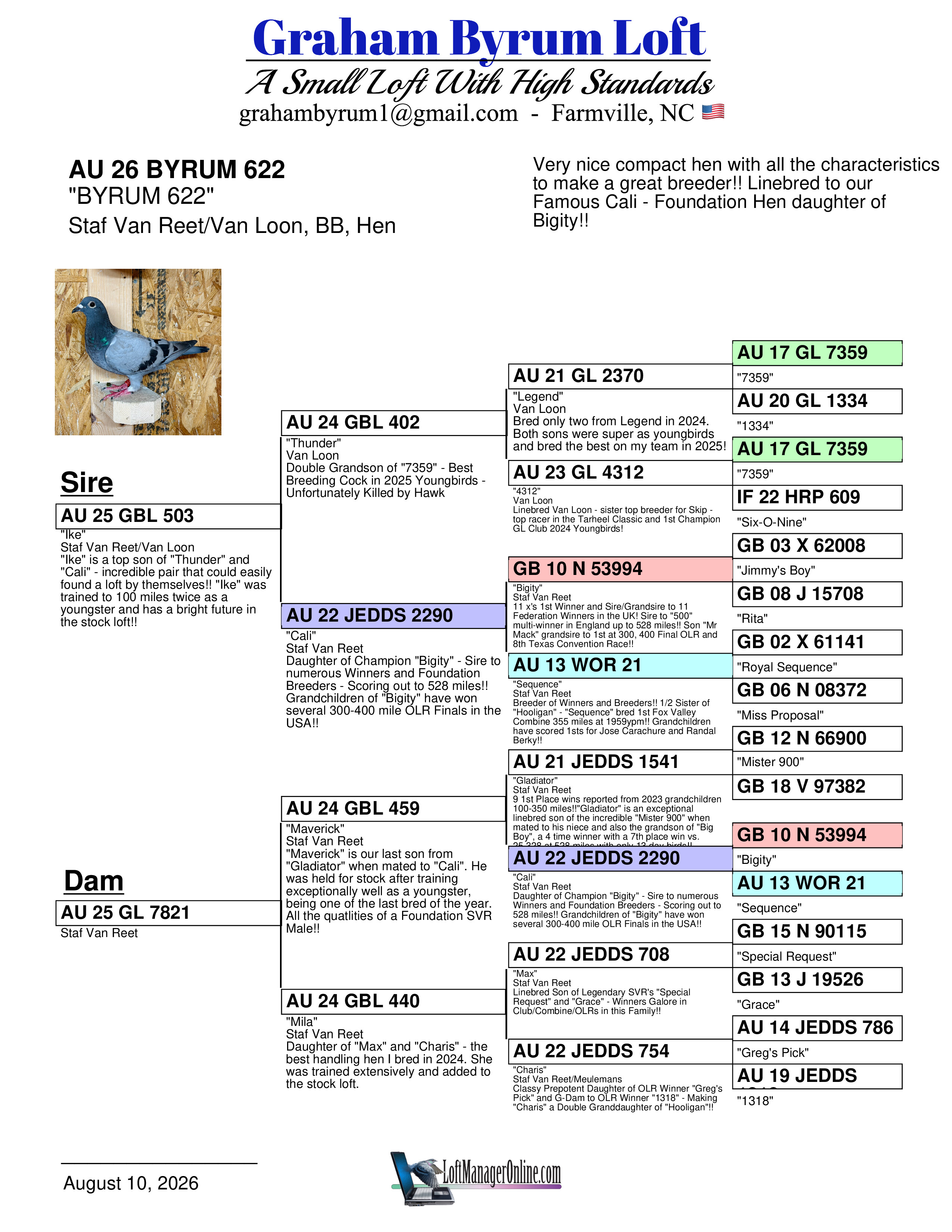 Preview Image 2
