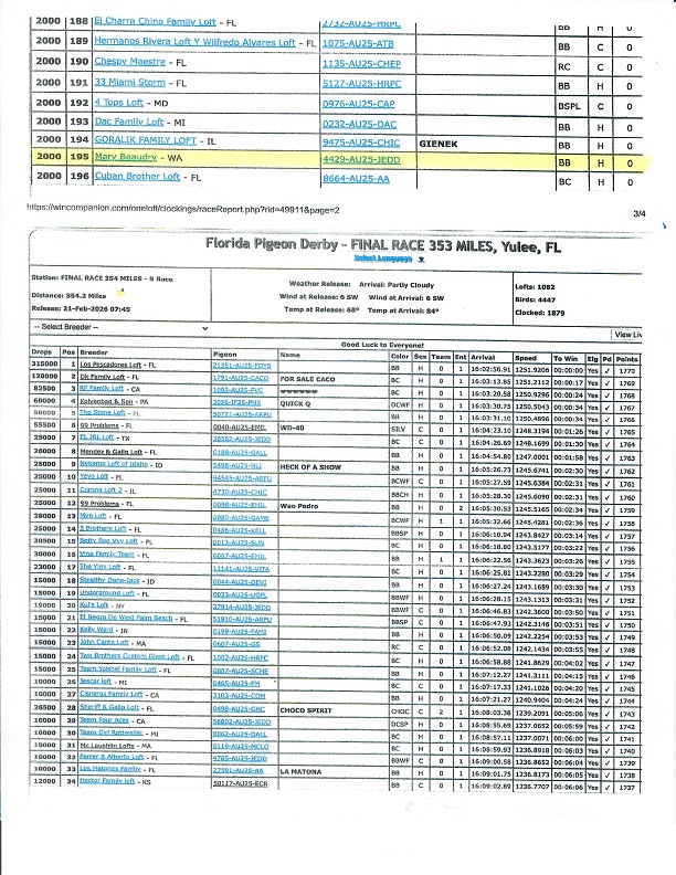 Preview Image 13