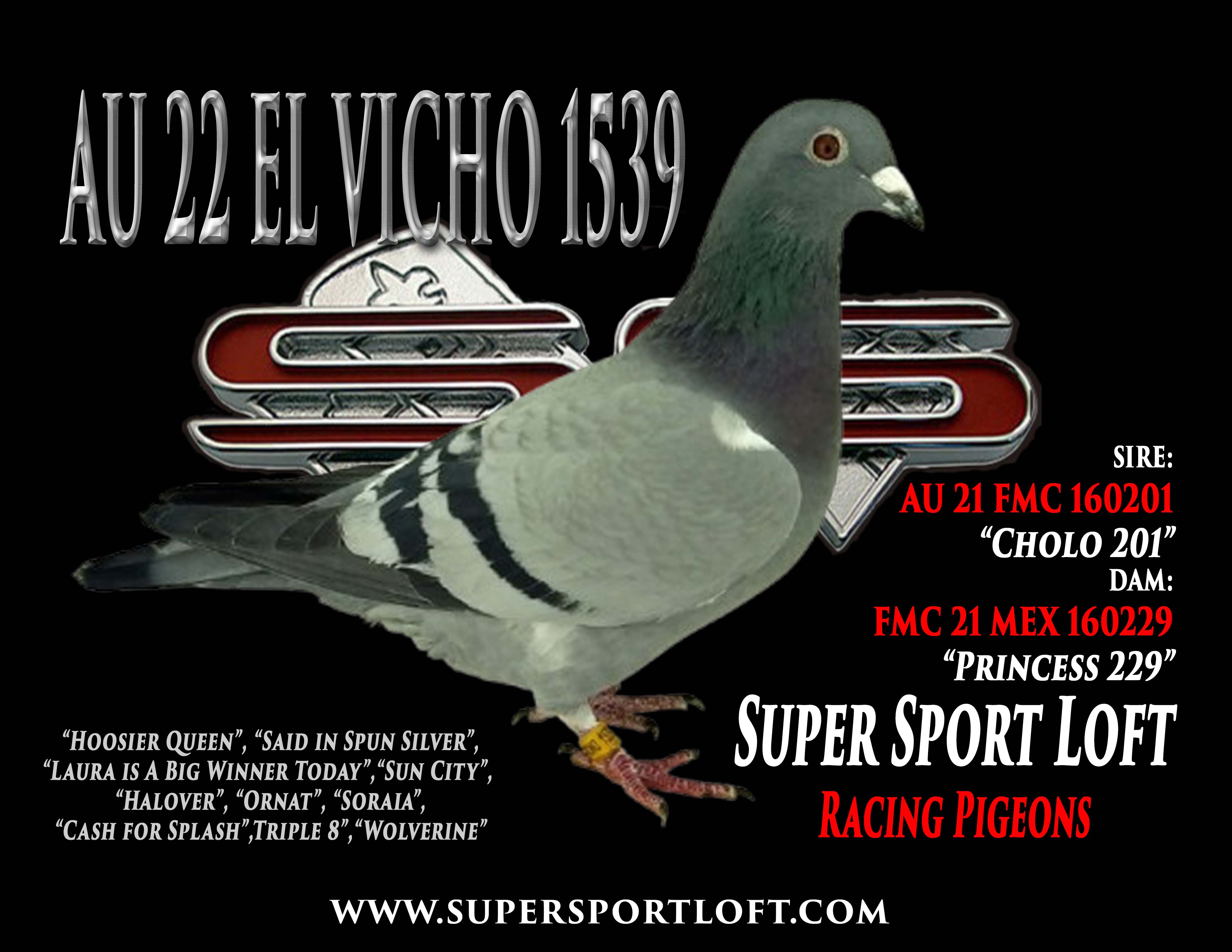 AU 22 EL VICHO 1539 Hen