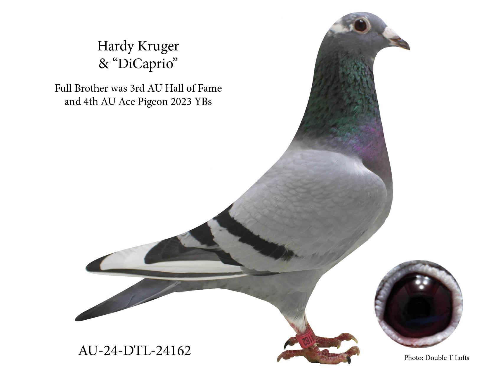 Hardy Kruger & Leo Heremans