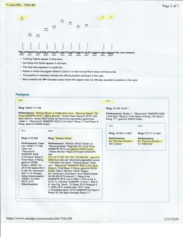 Preview Image 5