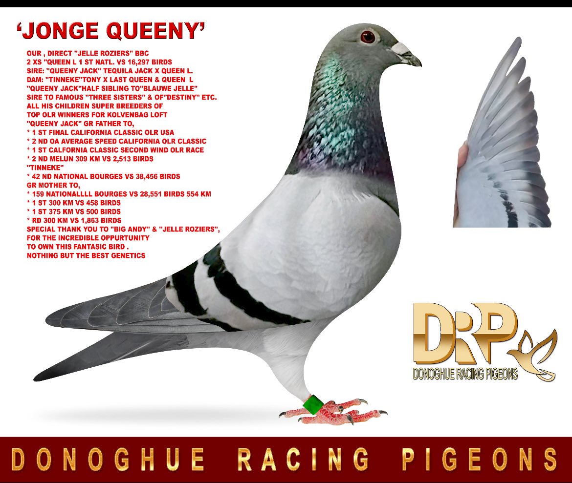 TOP ROZIERS GENETICS 