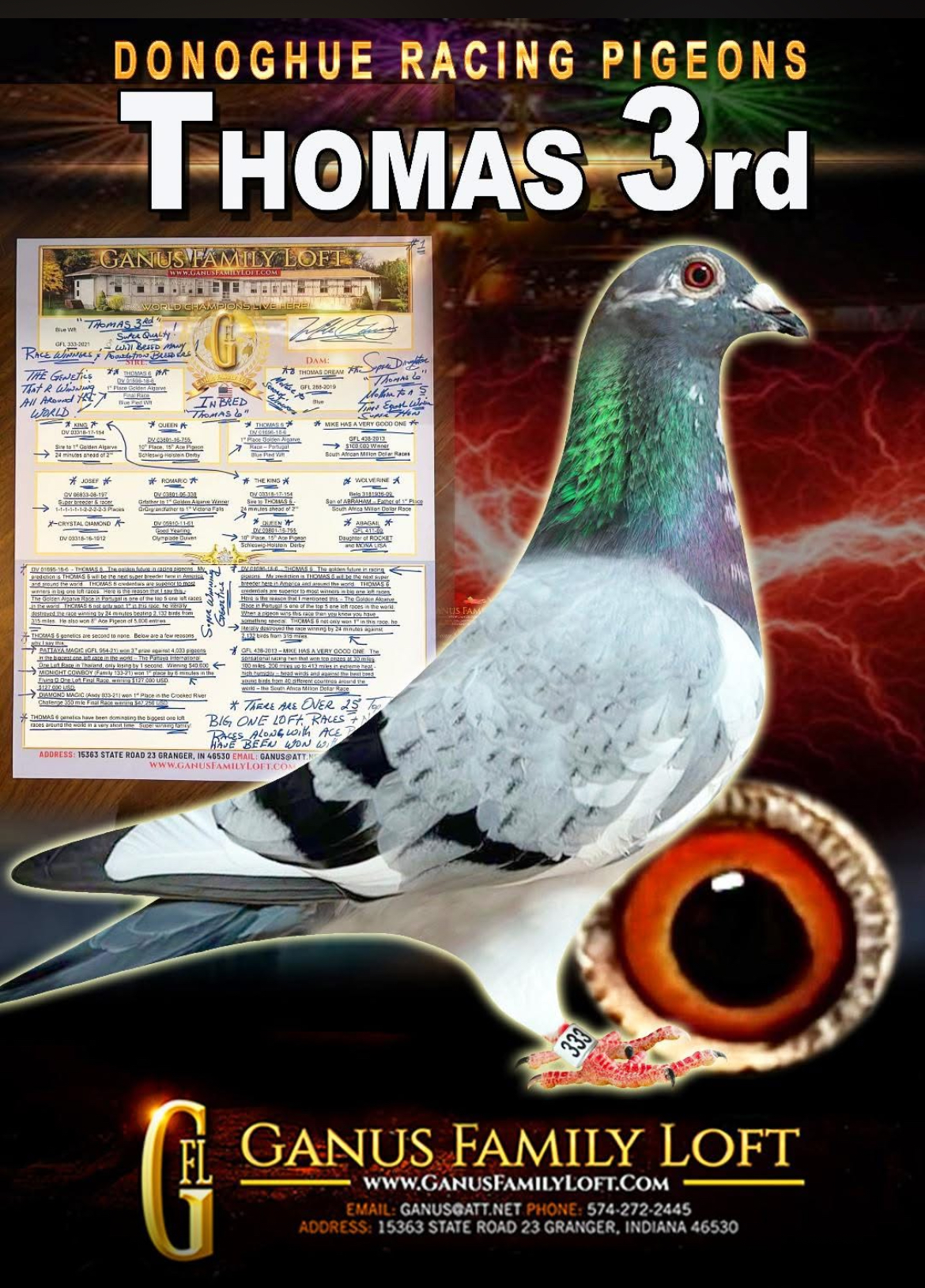 THOMAS 3 RD DIRECT GANUS LOFT