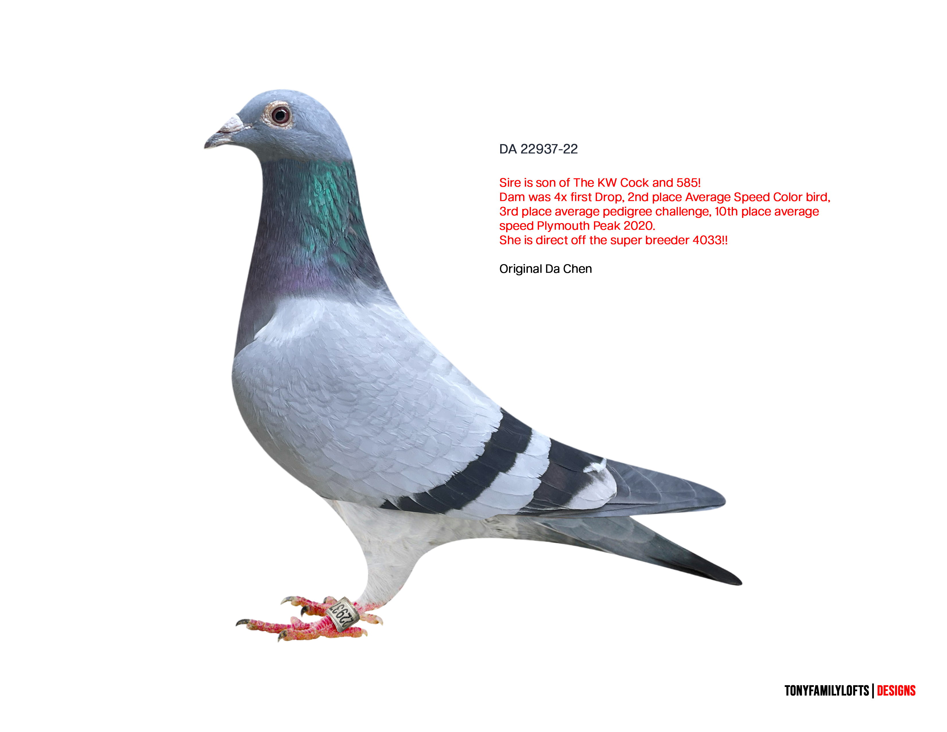 Preview Image 1