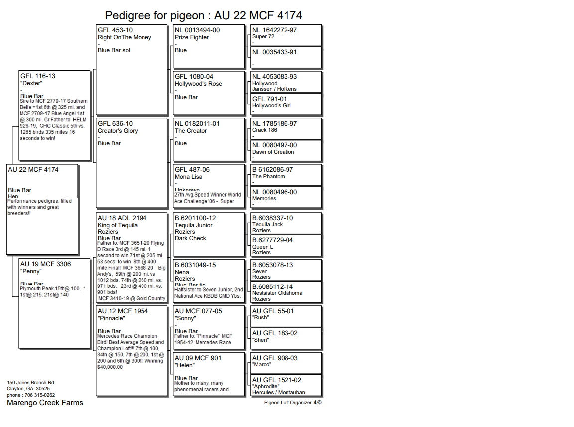 Preview Image 2