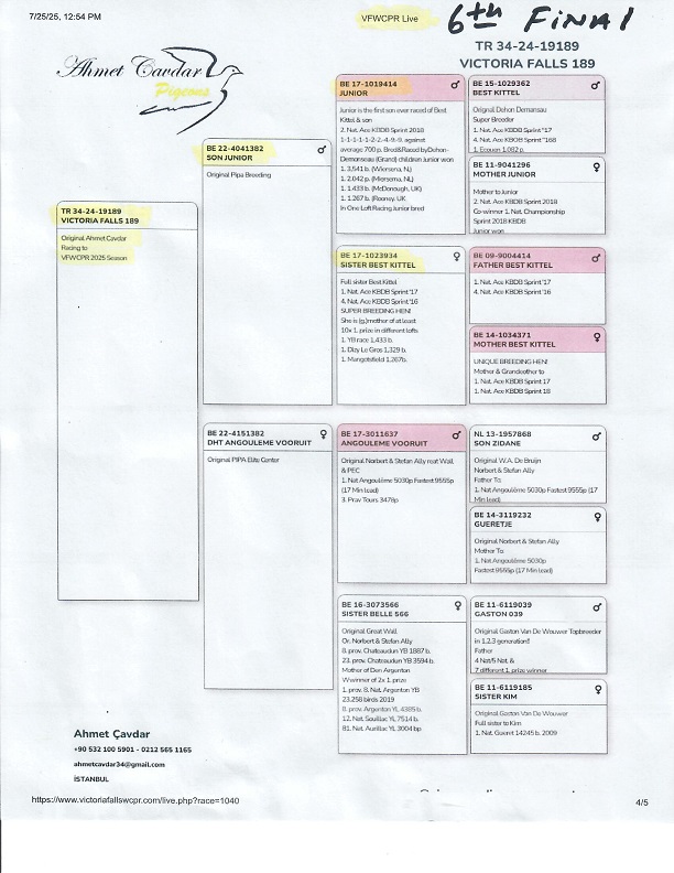 Preview Image 11