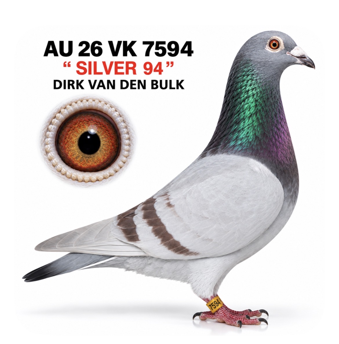 DIRK VAN DEN BULK