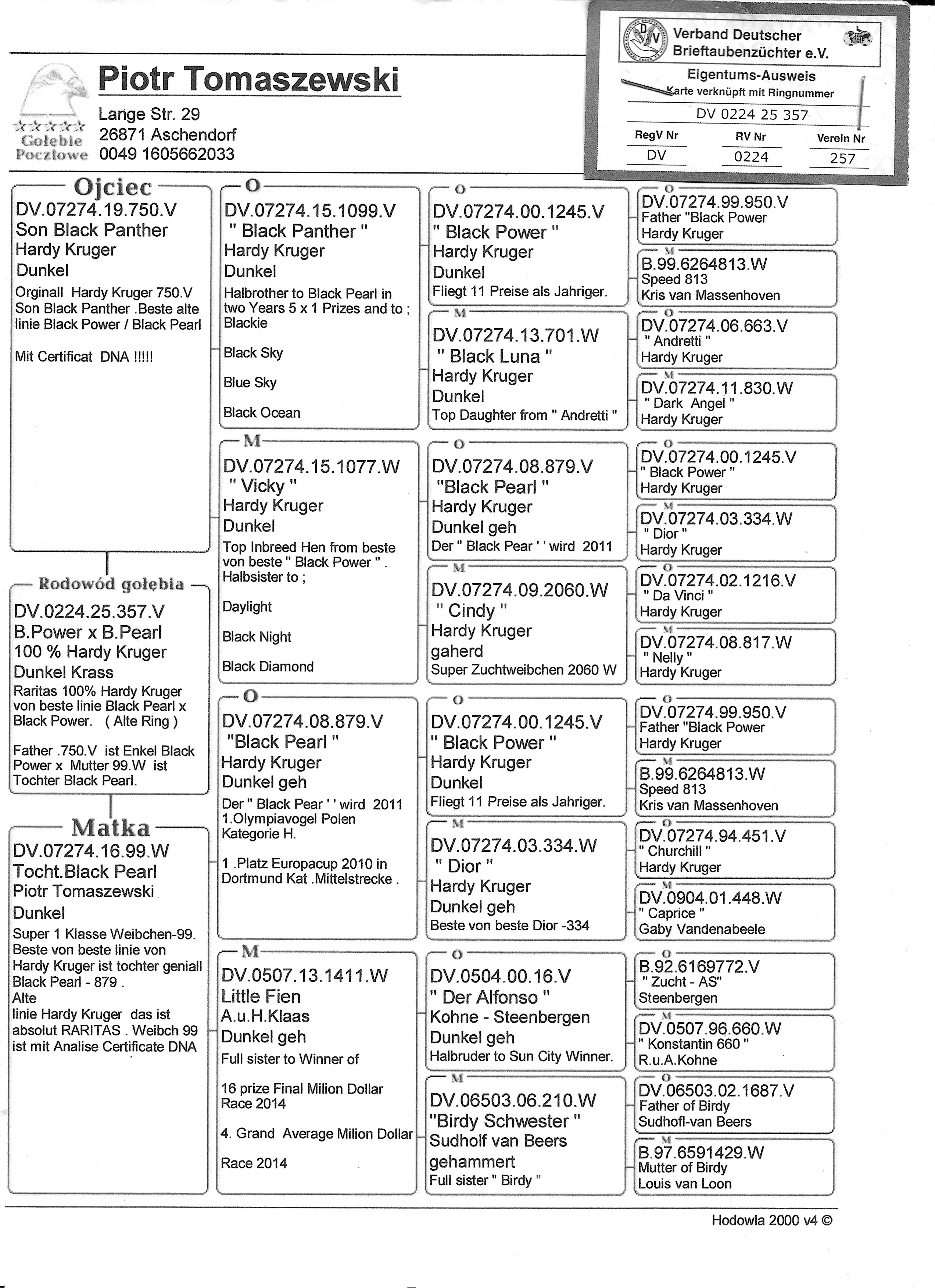 ipigeon-racing-pigeon-auction