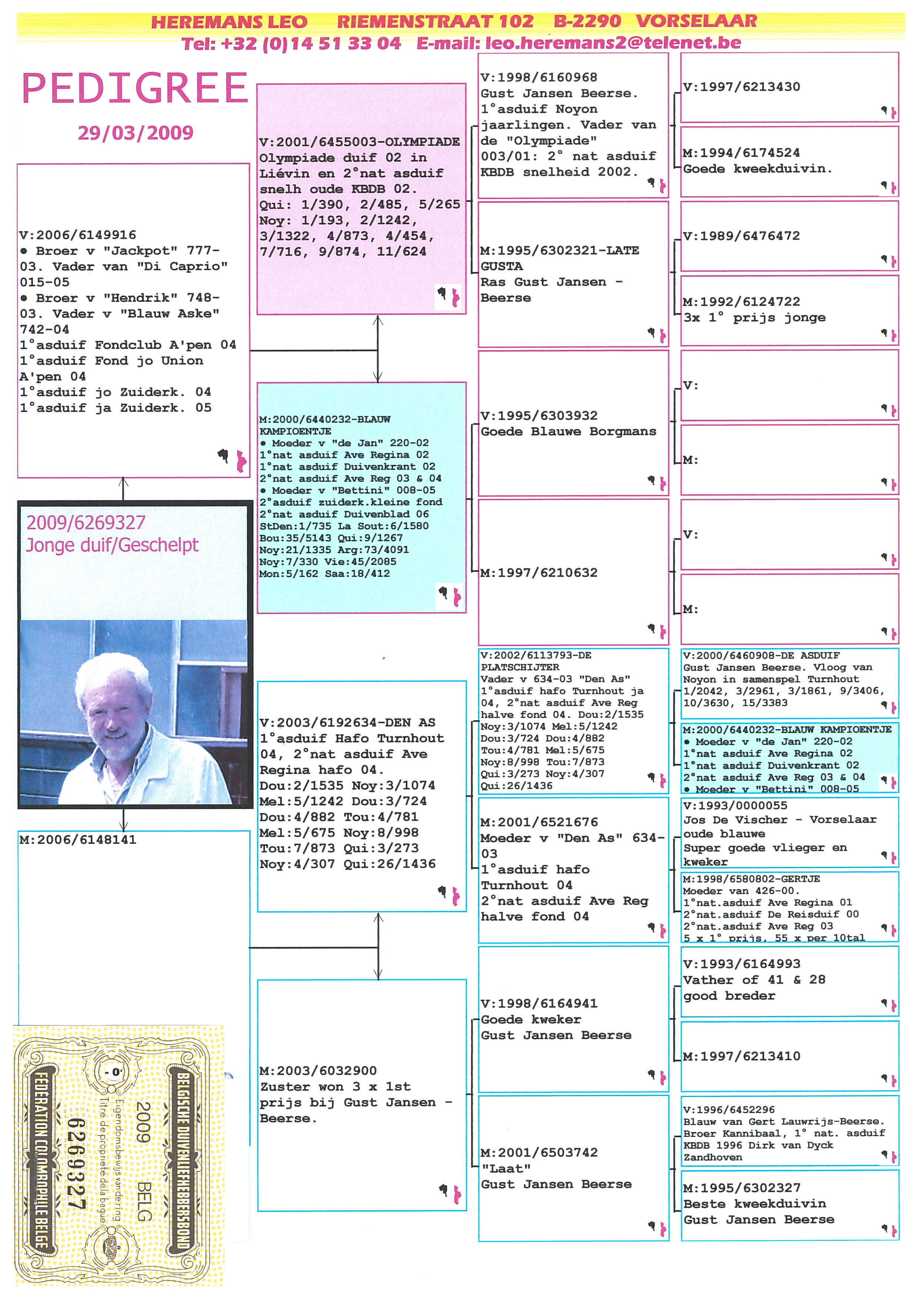 Preview Image 5