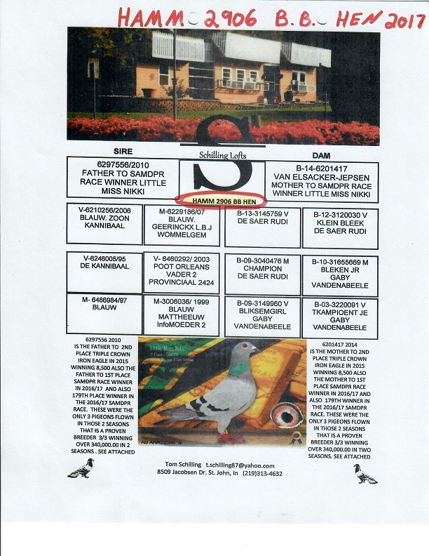 Preview Image 4