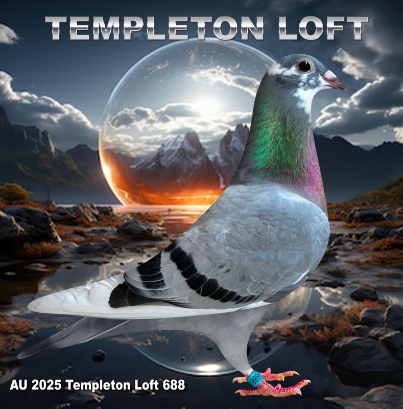 TEMPLETON LOFT 2025/688