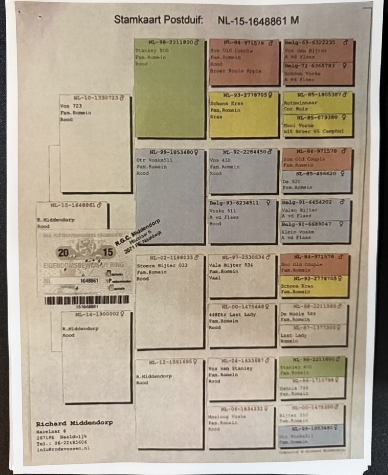 Preview Image 4