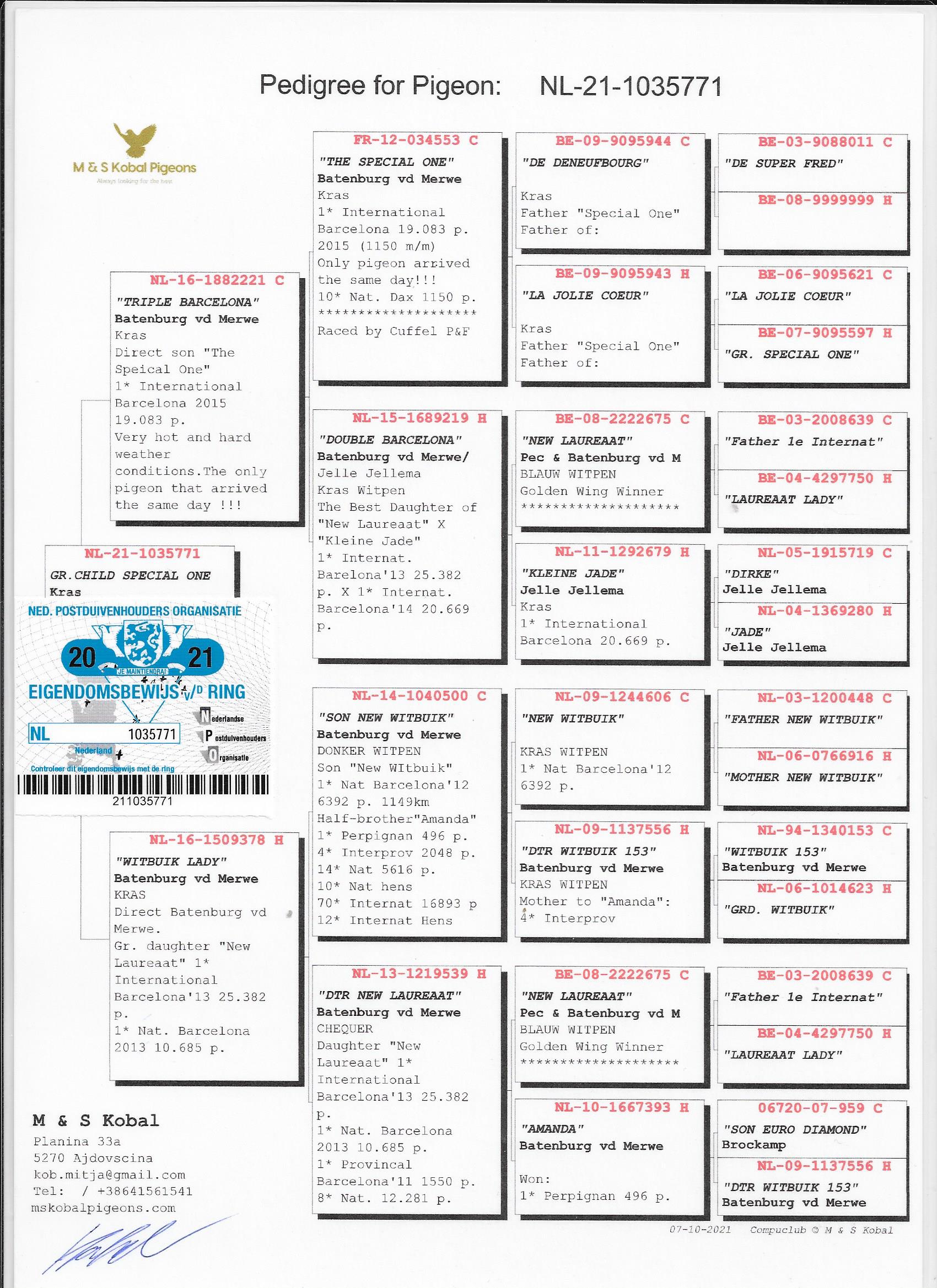 Preview Image 2