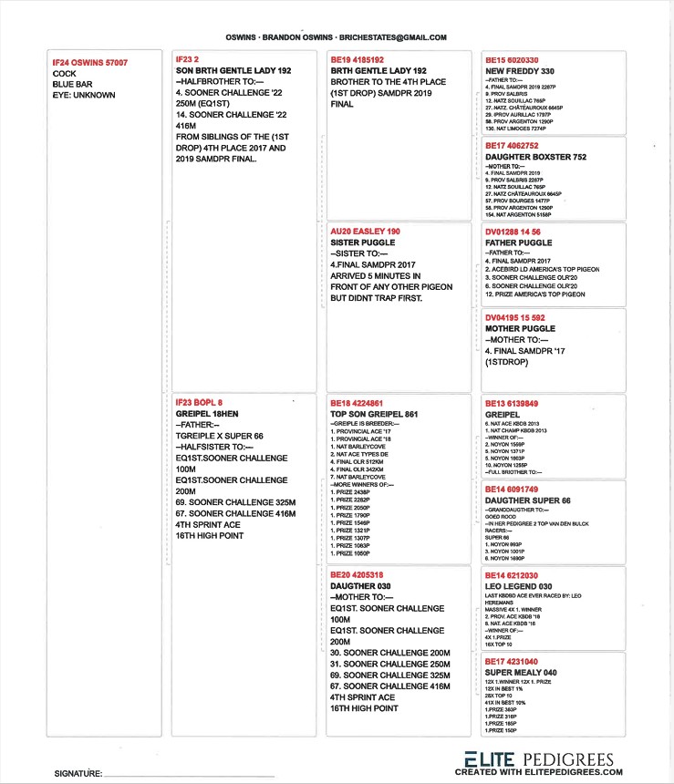 Preview Image 2