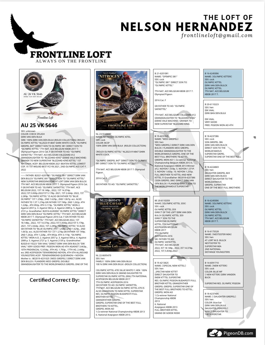 Preview Image 3
