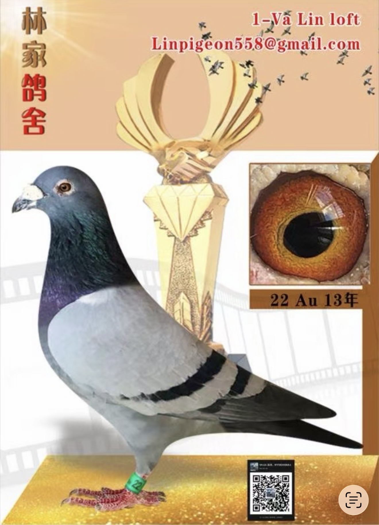 Preview Image 5
