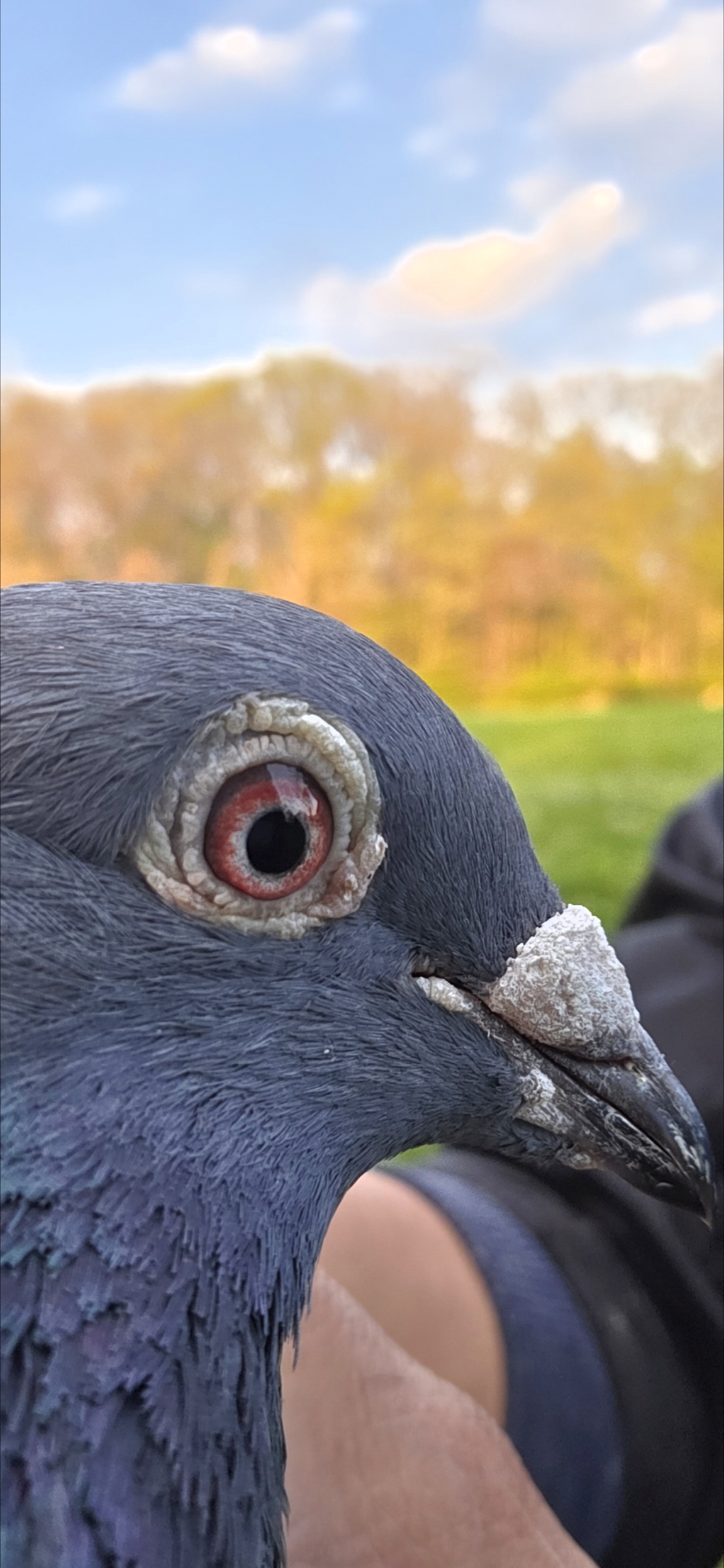 Preview Image 1