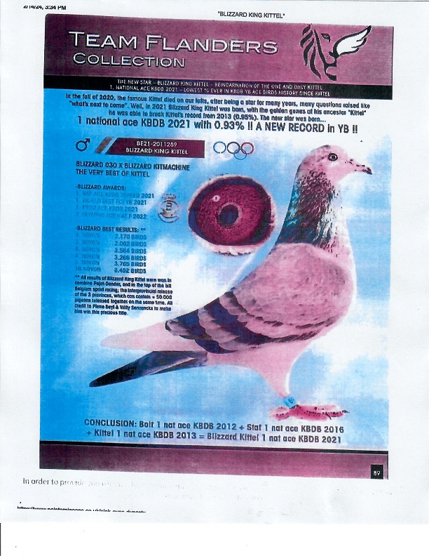 Preview Image 14