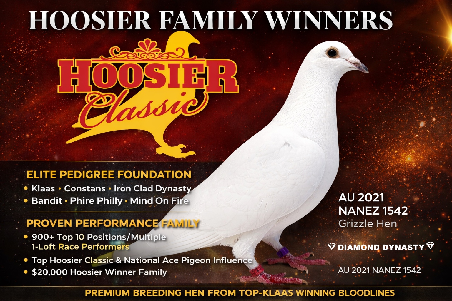 DIAMOND DYNASTY Hoosier Million Winning Family – Grizzle Hen