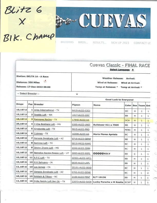 Preview Image 13