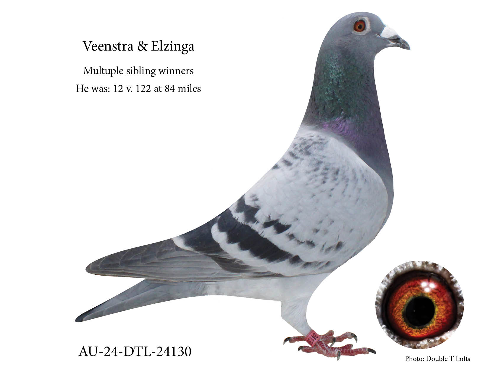 Multiple sibling winners!