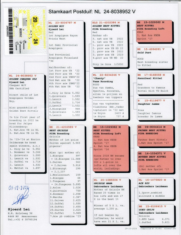 Preview Image 2