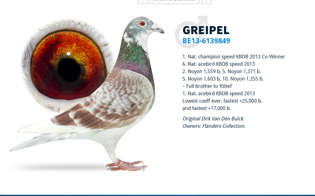Preview Image 3