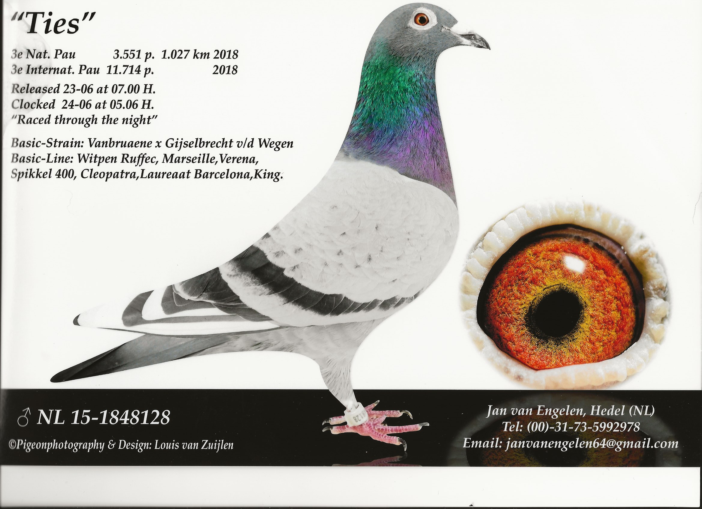 Preview Image 8