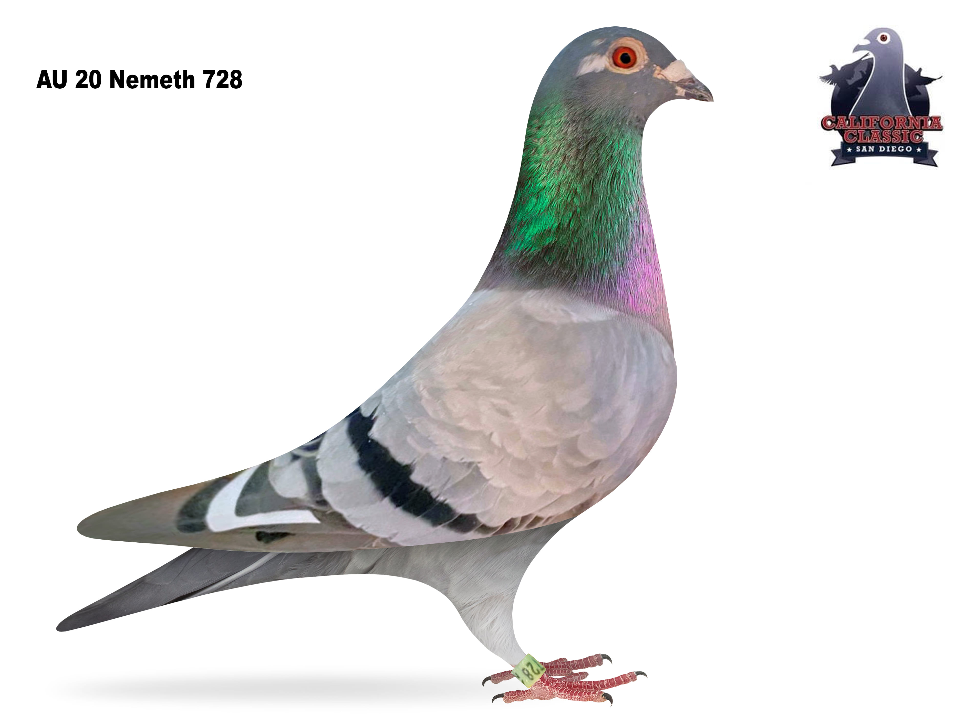 Lot 23. 2020 Nemeth 728 Hen