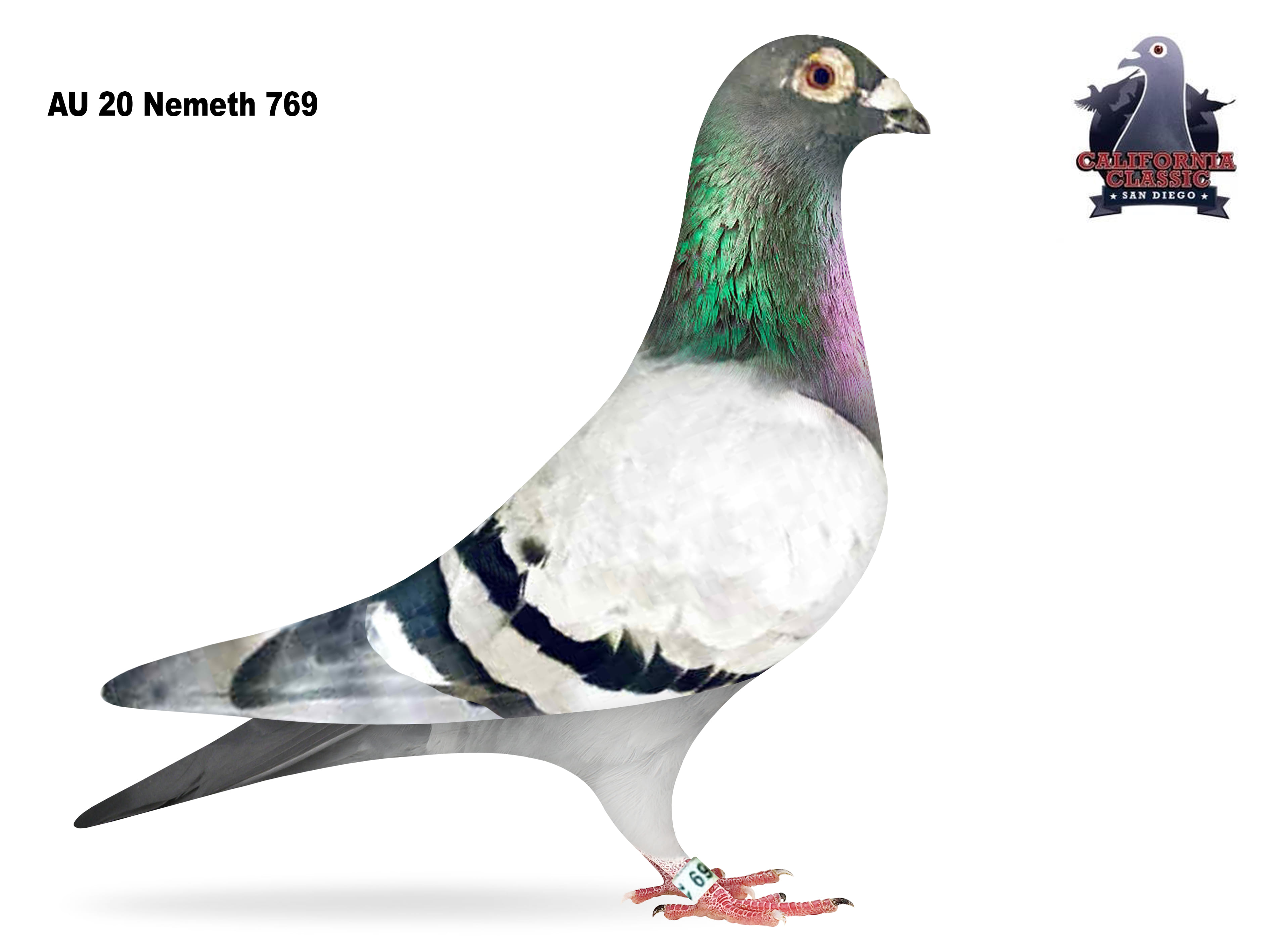 Lot 18. 2020 Nemeth 769 Cock