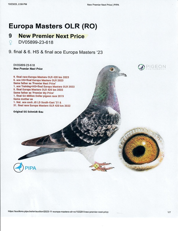 Preview Image 9