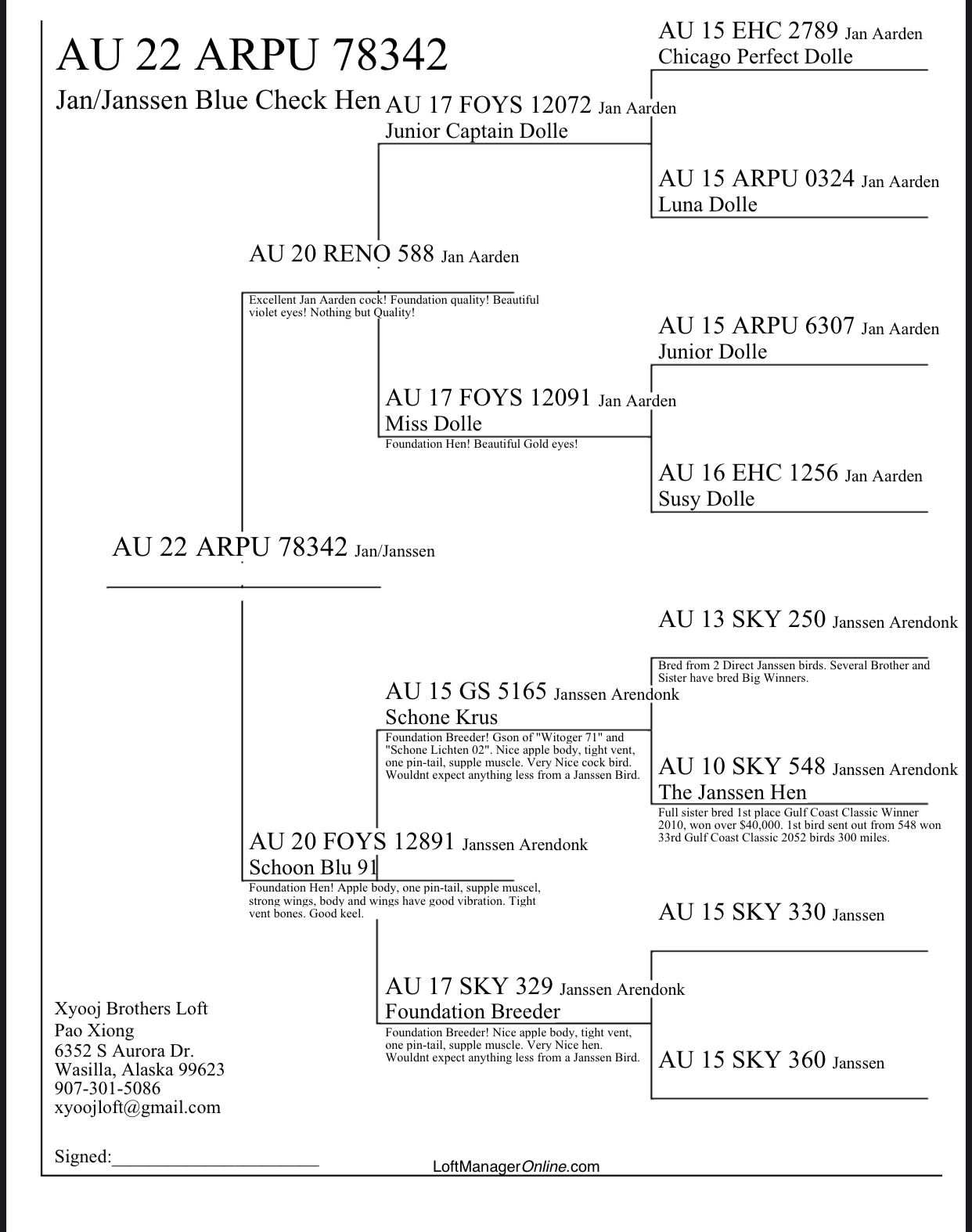 ipigeon-racing-pigeon-auction
