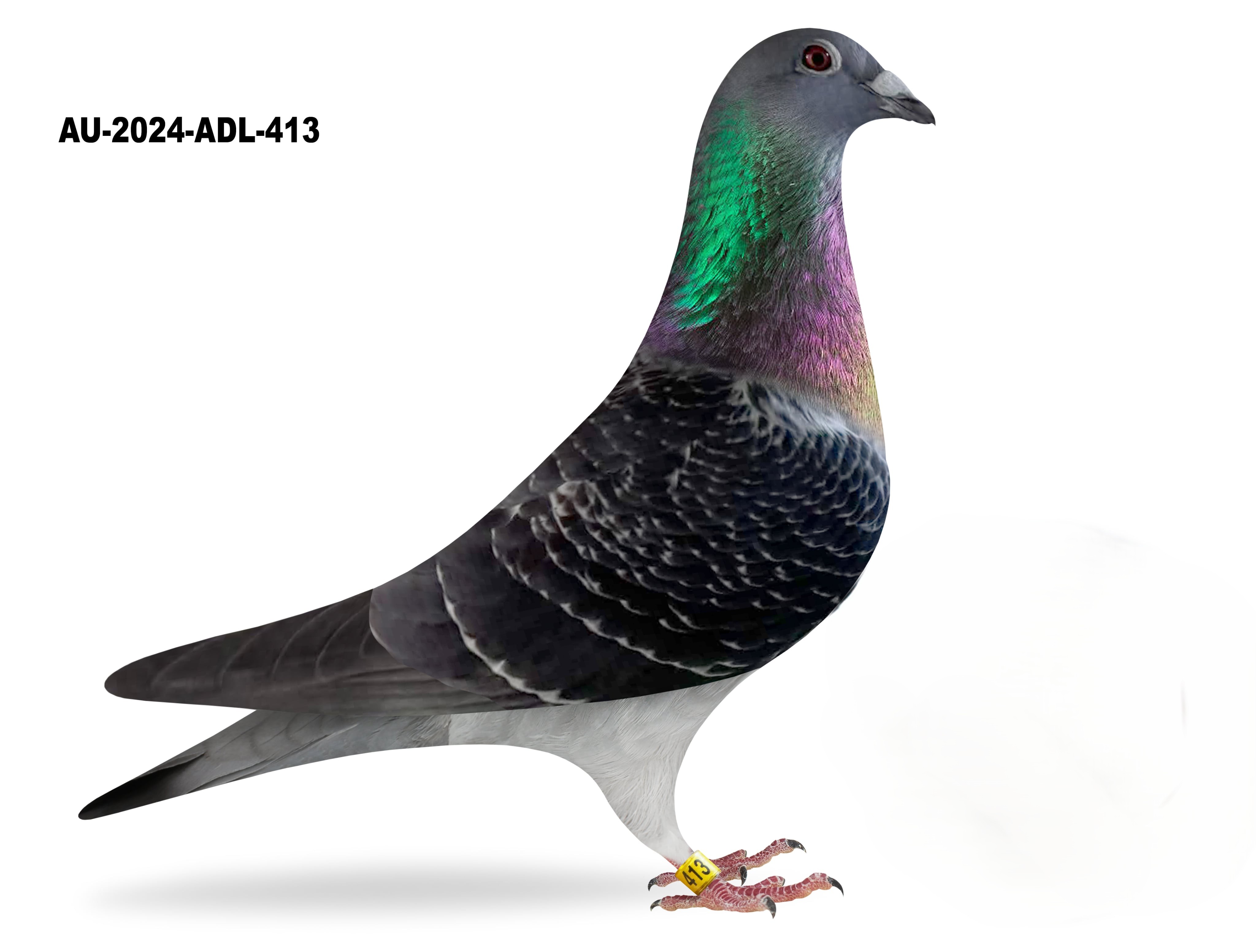 Donated by Butch Shoop