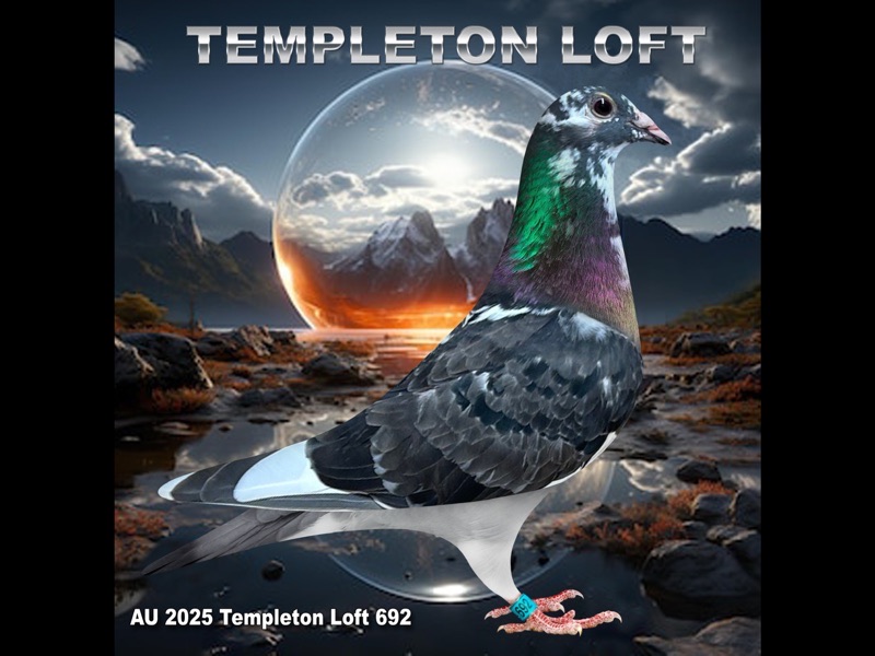 Templeton loft 2025/692