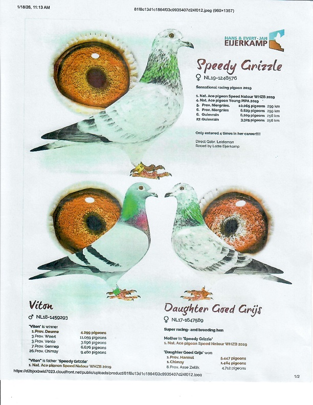 Preview Image 15