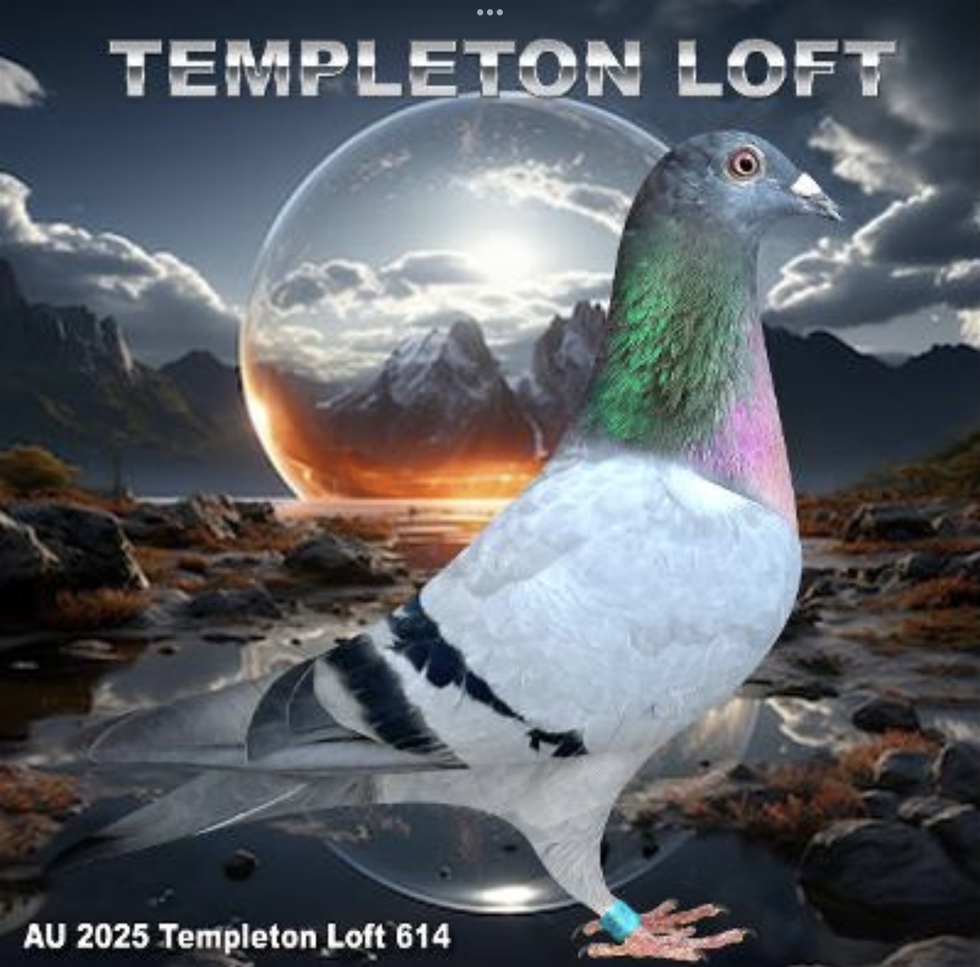 Templeton loft 2025/614