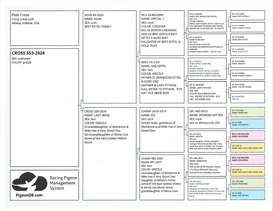 Preview Image 2