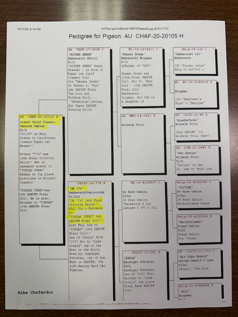 Preview Image 8